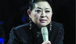 倪萍姐姐爆料视频,视频背后那些不为人知的幕后故事